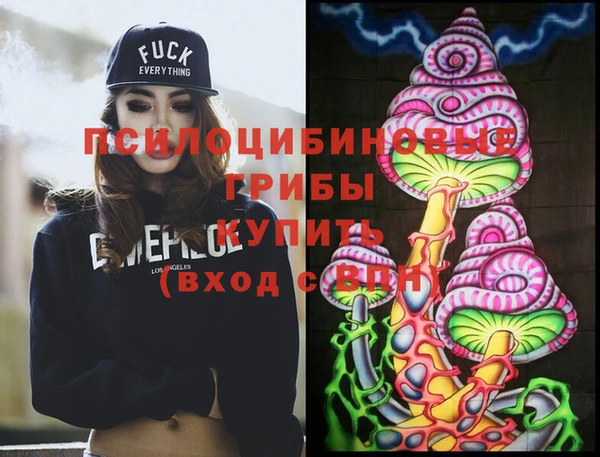 ECSTASY Михайлов