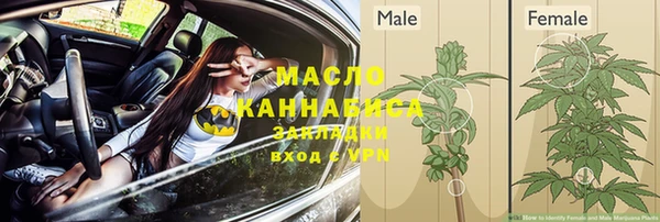 ECSTASY Михайлов