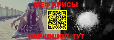 стафф Кингисепп