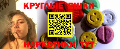стафф Кингисепп