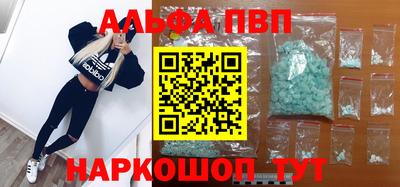 стафф Кингисепп