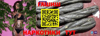 стафф Кингисепп