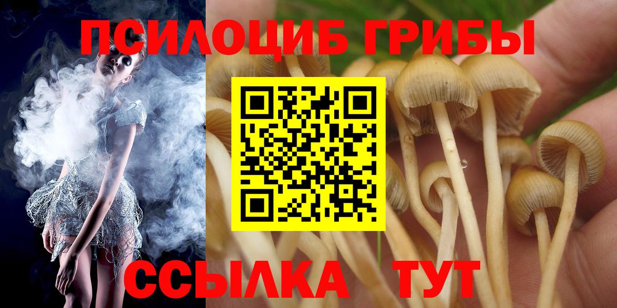 Галлюциногенные грибы GOLDEN TEACHER  Фрязино  Псилоцибиновые грибы Magic Shrooms 