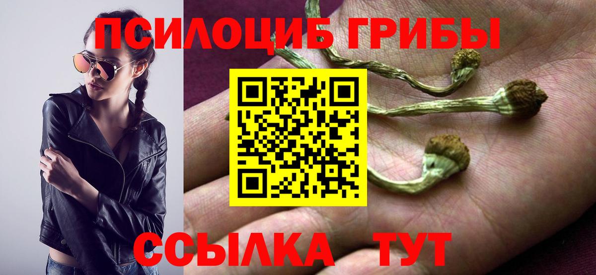 Псилоцибиновые грибы GOLDEN TEACHER Фрязино