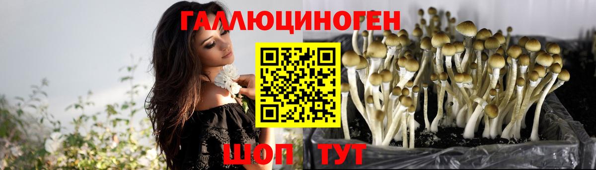Псилоцибиновые грибы ЛСД  Псилоцибиновые грибы ЛСД  Фрязино  Вход с VPN 